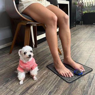 EMS Pėdų Masažuoklis