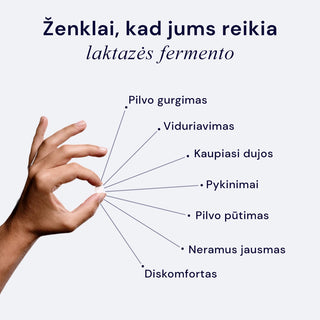 SynLactase+