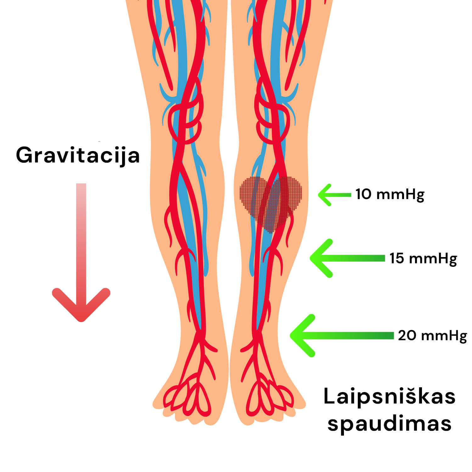 Kompresinės kojinės su variu